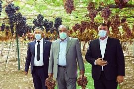 Сын знаменитого виноградаря Таджикистана перечислил более 2,3 млн. сомони на борьбу с коронавирусом 