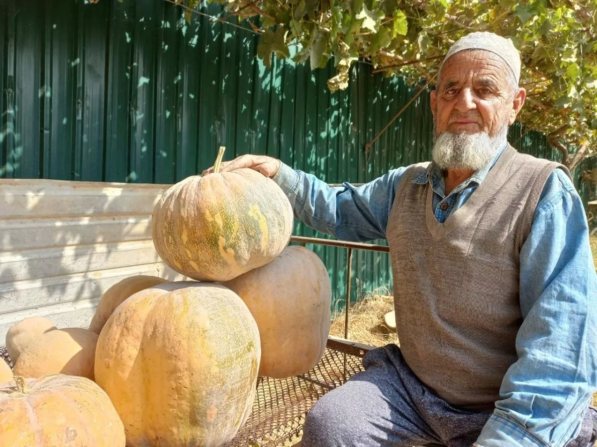 Мичурини дуюм. Чӣ гуна боғбони тоҷик аз як дарахт 7 намуди себ ҳосил гирифт? Мичурини дуюм. Чӣ гуна боғбони тоҷик аз як дарахт 7 намуди себ ҳосил гирифт?