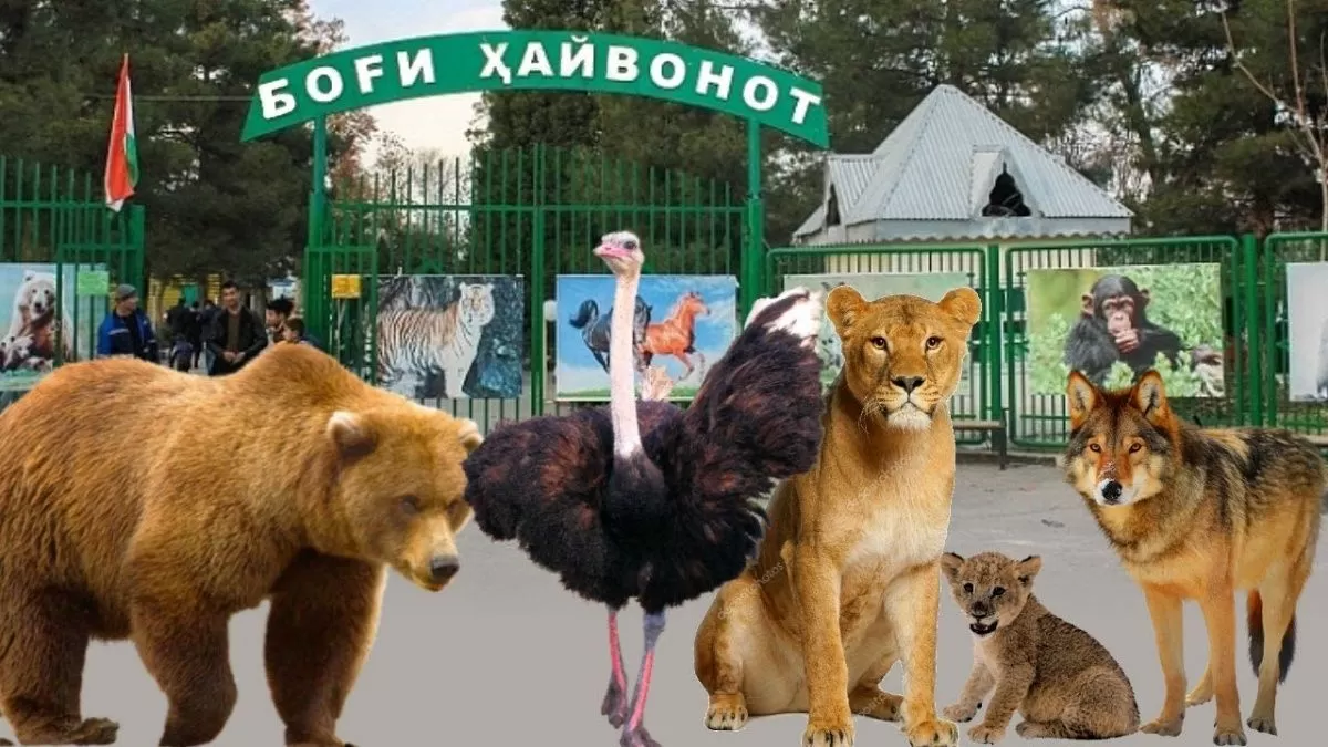 В Душанбе построят современный зоопарк В Душанбе построят современный зоопарк